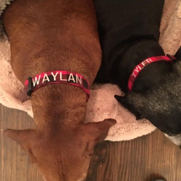 Meet your Posher, Jenifer - Picture 1 of 1